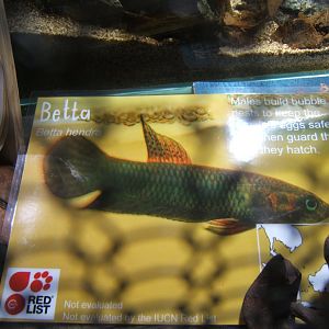 Signage in Monsoon 02/09/2017