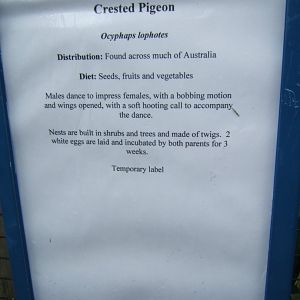 Temporary signage 10/09/2017