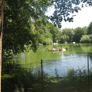 Nürnberg Tiergarten - Bird lake #1
