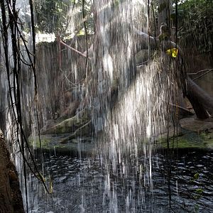 Waterfall behind Pig Tailed Maqaque Island