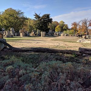 Asian Elephant Enclosure Zoo Praha 2018
