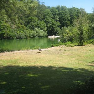 Nürnberg Tiergarten - Bird lake #1