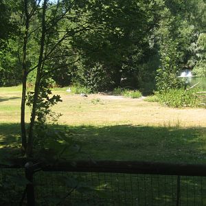 Nürnberg Tiergarten - Bird lake #1