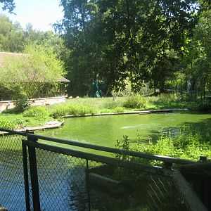 Nürnberg Tiergarten - Flamingo exhibit