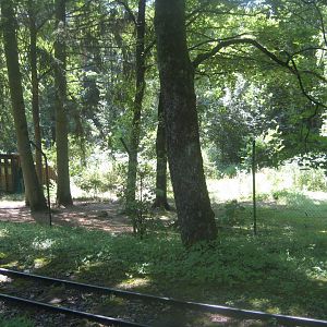 Nürnberg Tiergarten - Crowned-crane exhibit