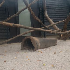 Enclosure ID Zoo Praha 2018