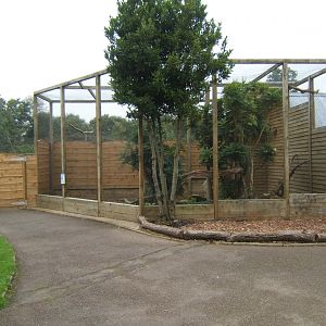 View of Birds of Africa 10/09/2017