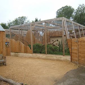 View of Birds of Africa 10/09/2017