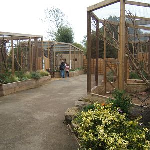 View of Birds of Africa 10/09/2017