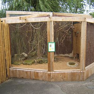 View of Birds of Africa 10/09/2017