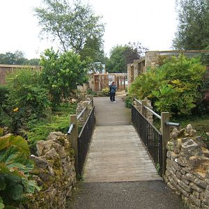 View of Birds of Africa 10/09/2017