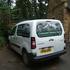 Collection Vehicle 10/09/2017