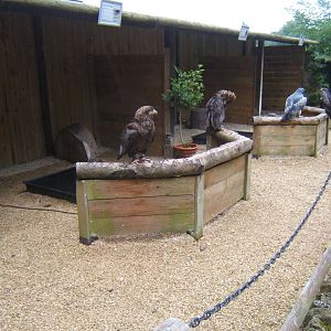 View of mews 10/09/2017