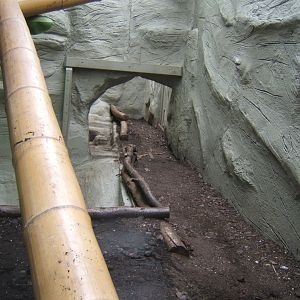 View of two enclosures knocked into one for Burmese Python 16/09/2017