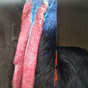 Zoo Praha 2018 Photo Quiz