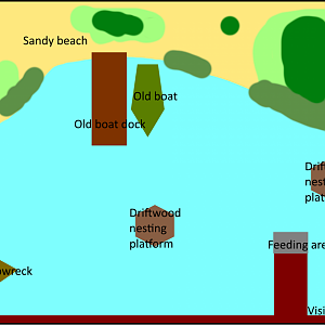 Make a Mixed Species Exhibit For That Animal - Brown Pelican, "Pelican Port"