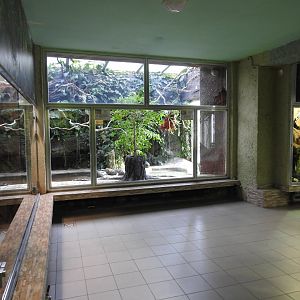 The interior of the terrarium