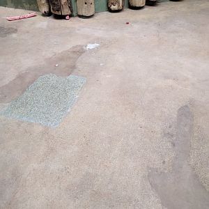 Big Cat Enclosure ID Zoo Praha 2018