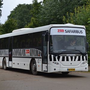 The safari bus in Givskud Zoo