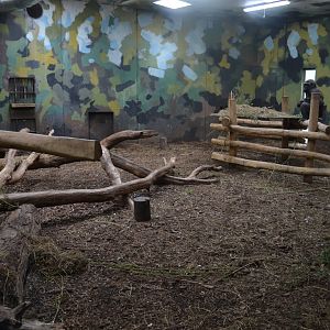 Gorilla house in Givskud Zoo