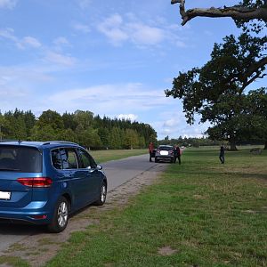 Maglemermarken in Knuthenborg