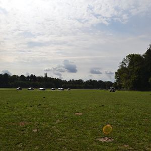 The savannah in Knuthenborg