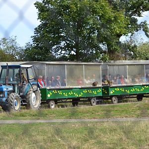 Abebussen in Knuthenborg