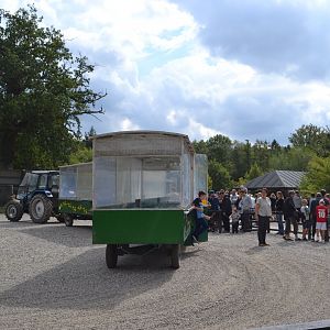 Station for Abebussen in Knuthenborg