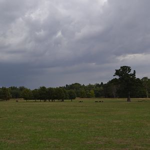 Skovriddersletten in Knuthenborg