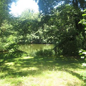 Nürnberg Tiergarten - Bird lake #2
