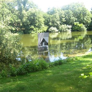 Nürnberg Tiergarten - Bird lake #2