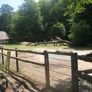 Nürnberg Tiergarten - Children's zoo - Alpaca exhibit