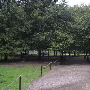 Walk-through enclosure for red-necked wallaby and emu in Knuthenborg