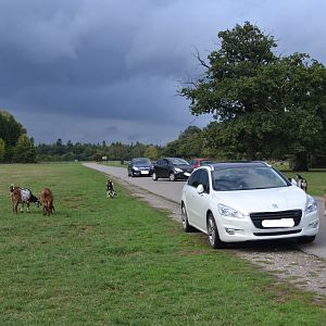 Maglemermarken in Knuthenborg