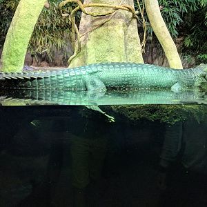 Gharial Zoo Praha 2018