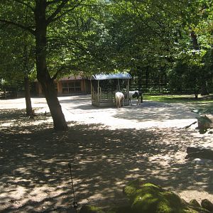Nürnberg Tiergarten - Children's zoo - Horse exhibit