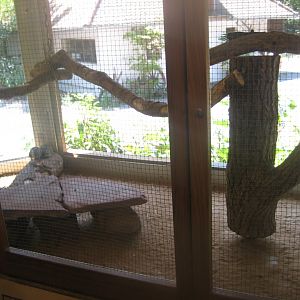 Nürnberg Tiergarten - Children's zoo - Degu exhibit