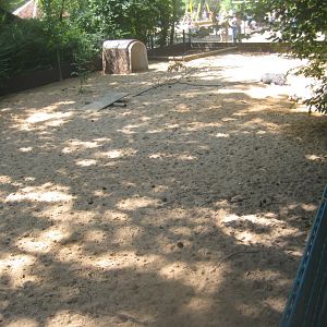 Nürnberg Tiergarten - Children's zoo - Pig exhibit (outdoors)