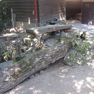 Nürnberg Tiergarten - Children's zoo - Rabbit exhibit (outdoors)