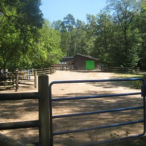 Nürnberg Tiergarten - Children's zoo - Donkey exhibit