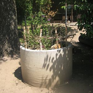 Nürnberg Tiergarten - Children's zoo - Rabbit exhibit #2 (outdoors)