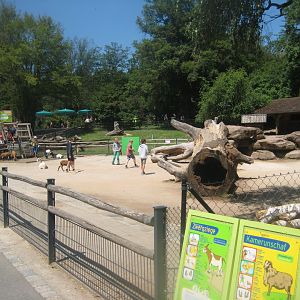 Nürnberg Tiergarten - Children's zoo - Petting exhibit