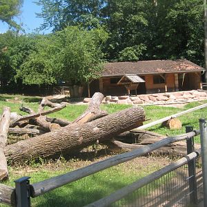 Nürnberg Tiergarten - Children's zoo - "Safe space"