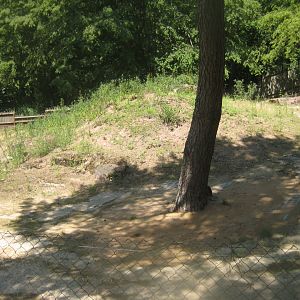 Nürnberg Tiergarten - Gazelle exhibit