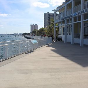 Manatee Lagoon - Viewing Deck
