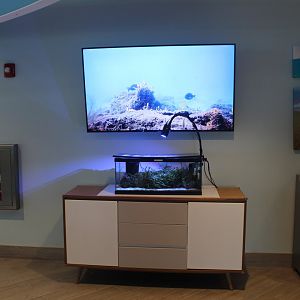 Manatee Lagoon - General View