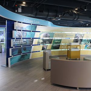 Manatee Lagoon - General View