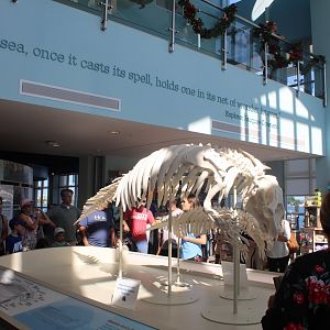 Manatee Lagoon - General View