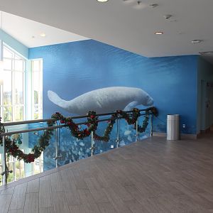 Manatee Lagoon - General View