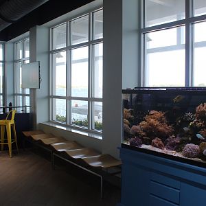 Manatee Lagoon - General View